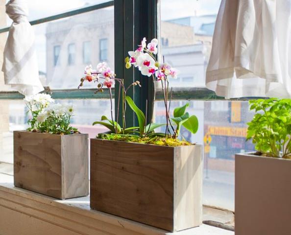 Hydroponic Windowsill To Spruce Up Your Windows